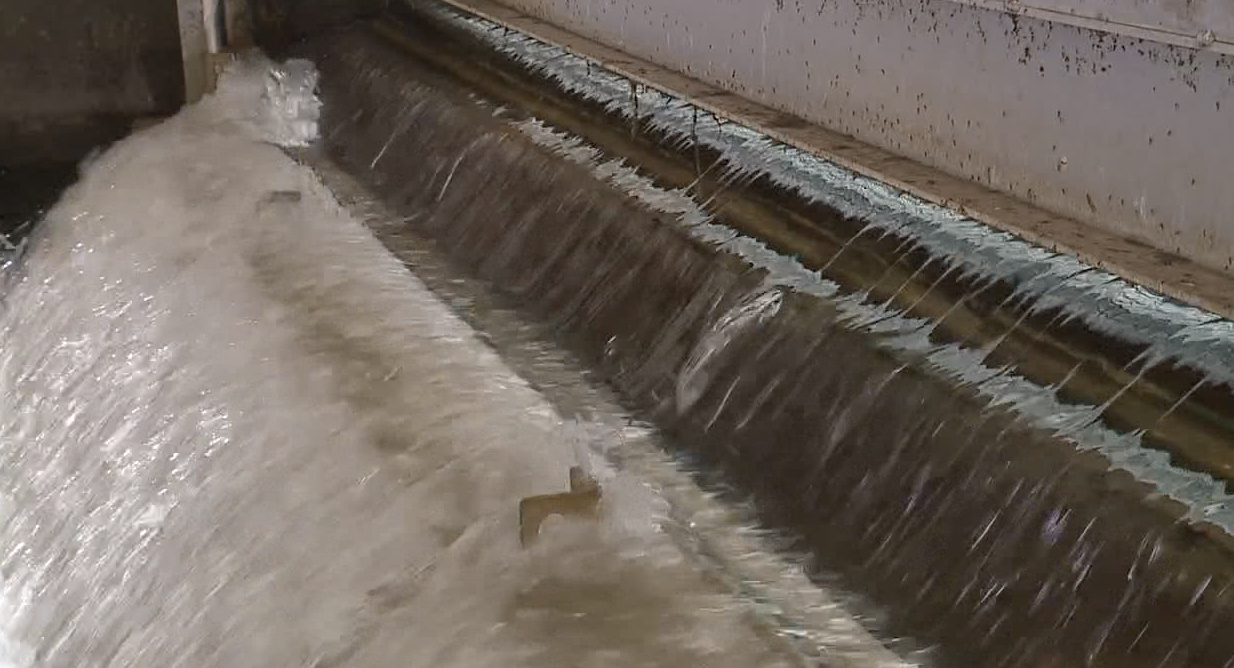 water 