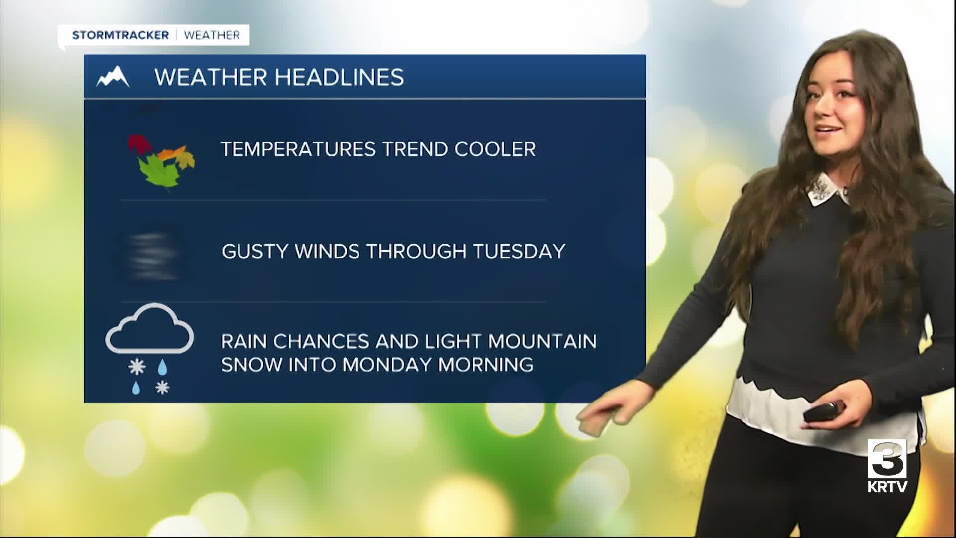 Poster image (2).jpg