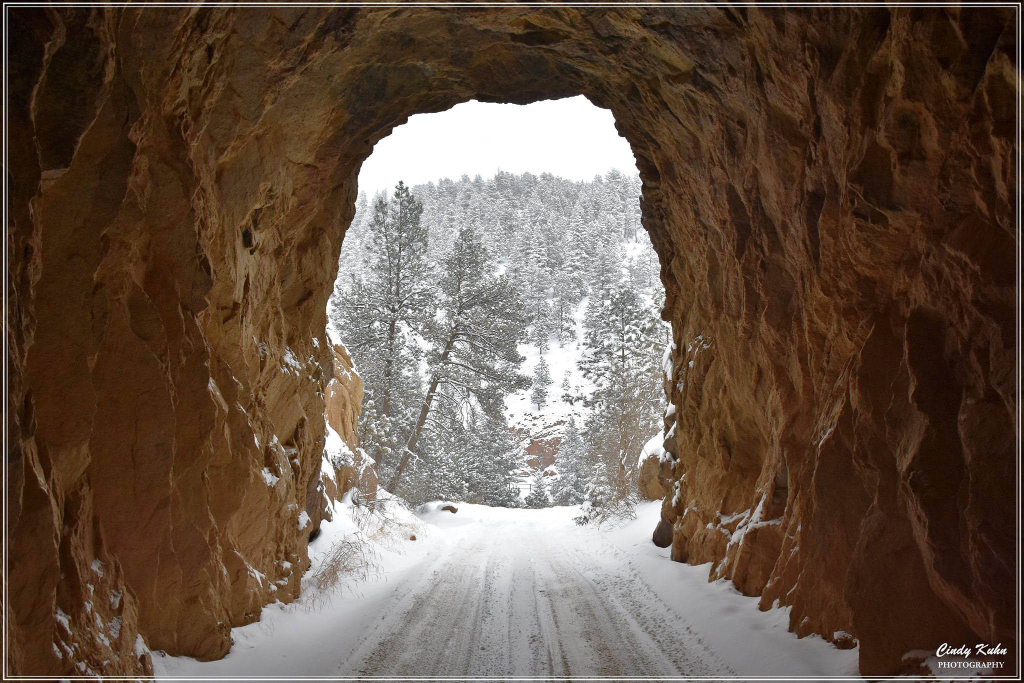 Gold Camp Road Cindy Kuhn