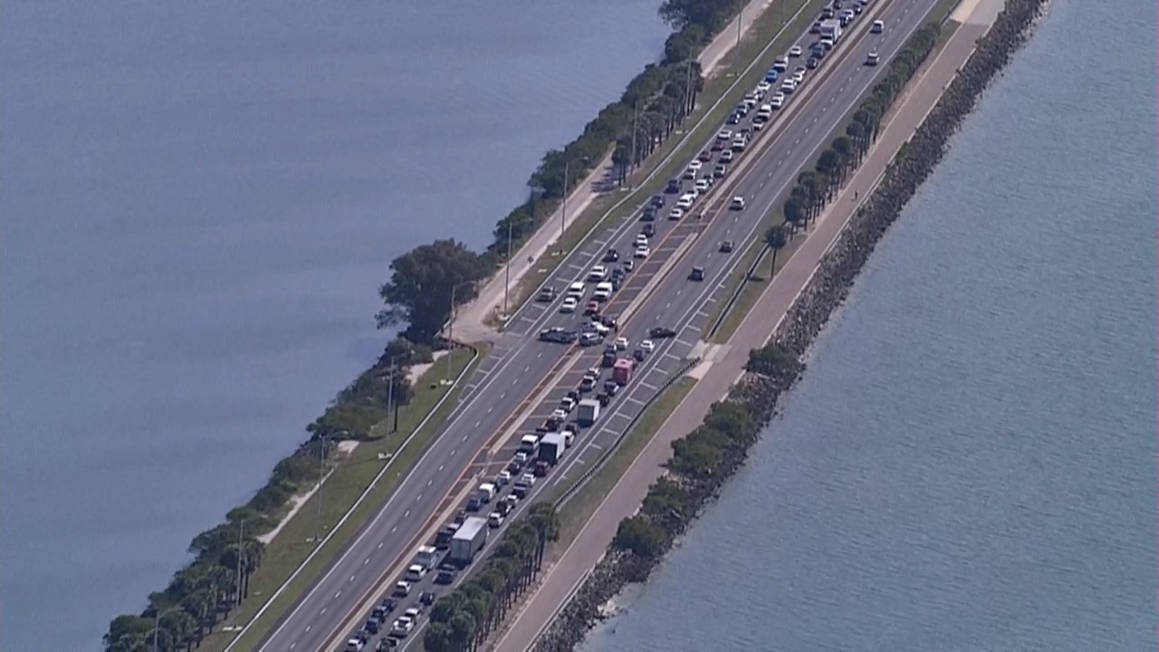 Courtney Traffic.jpg