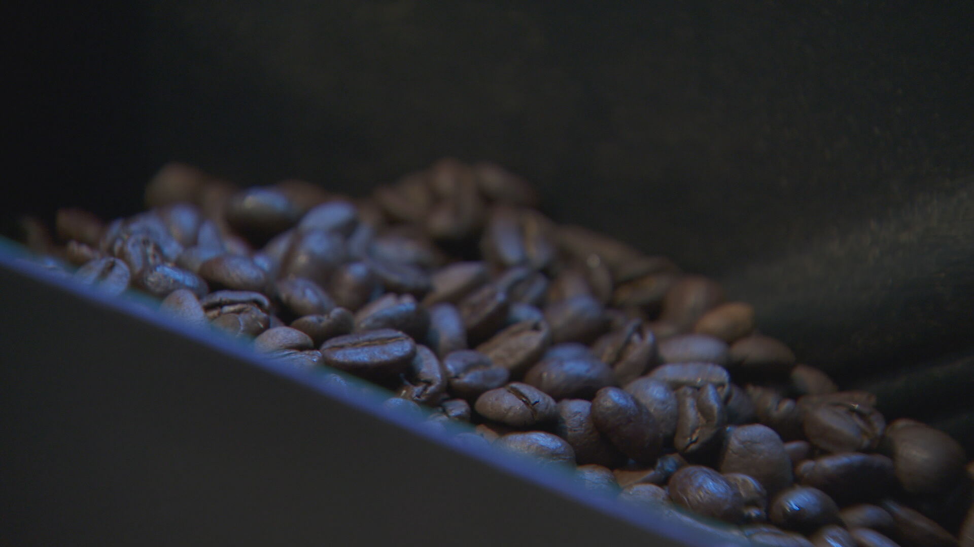 coffee beans.jpeg
