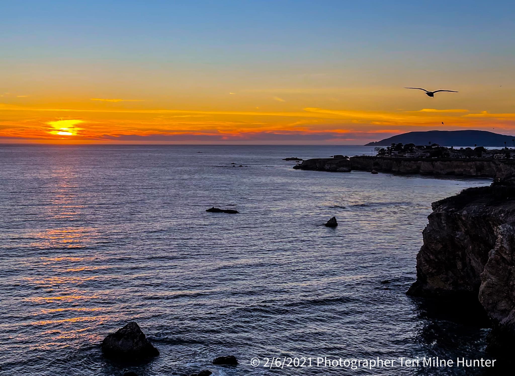 teri milne hunter's photo of shell beach.jpg