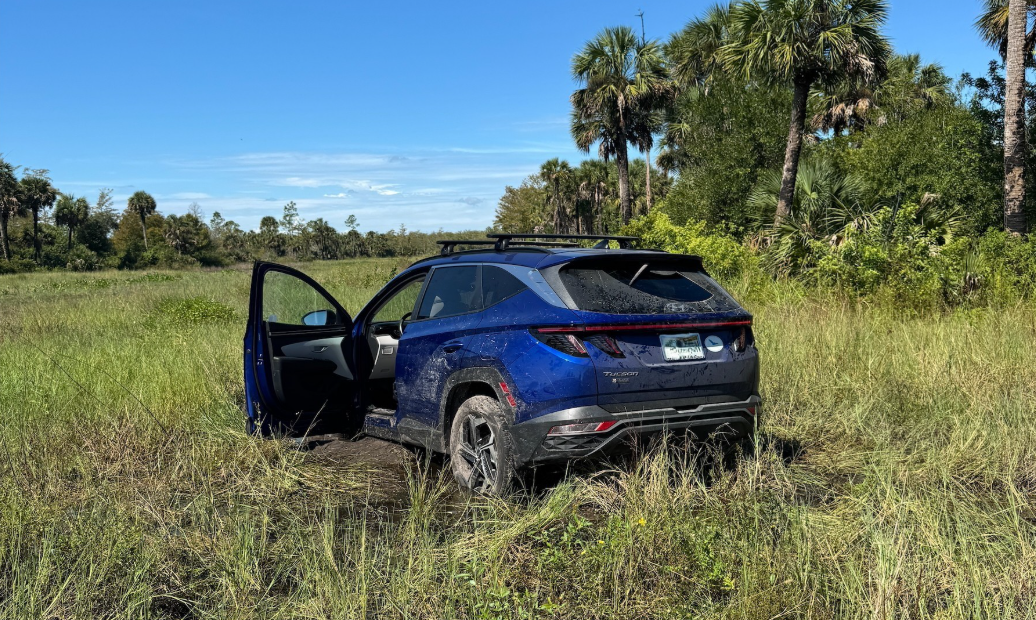 Screenshot 2025-10-01 115036.png