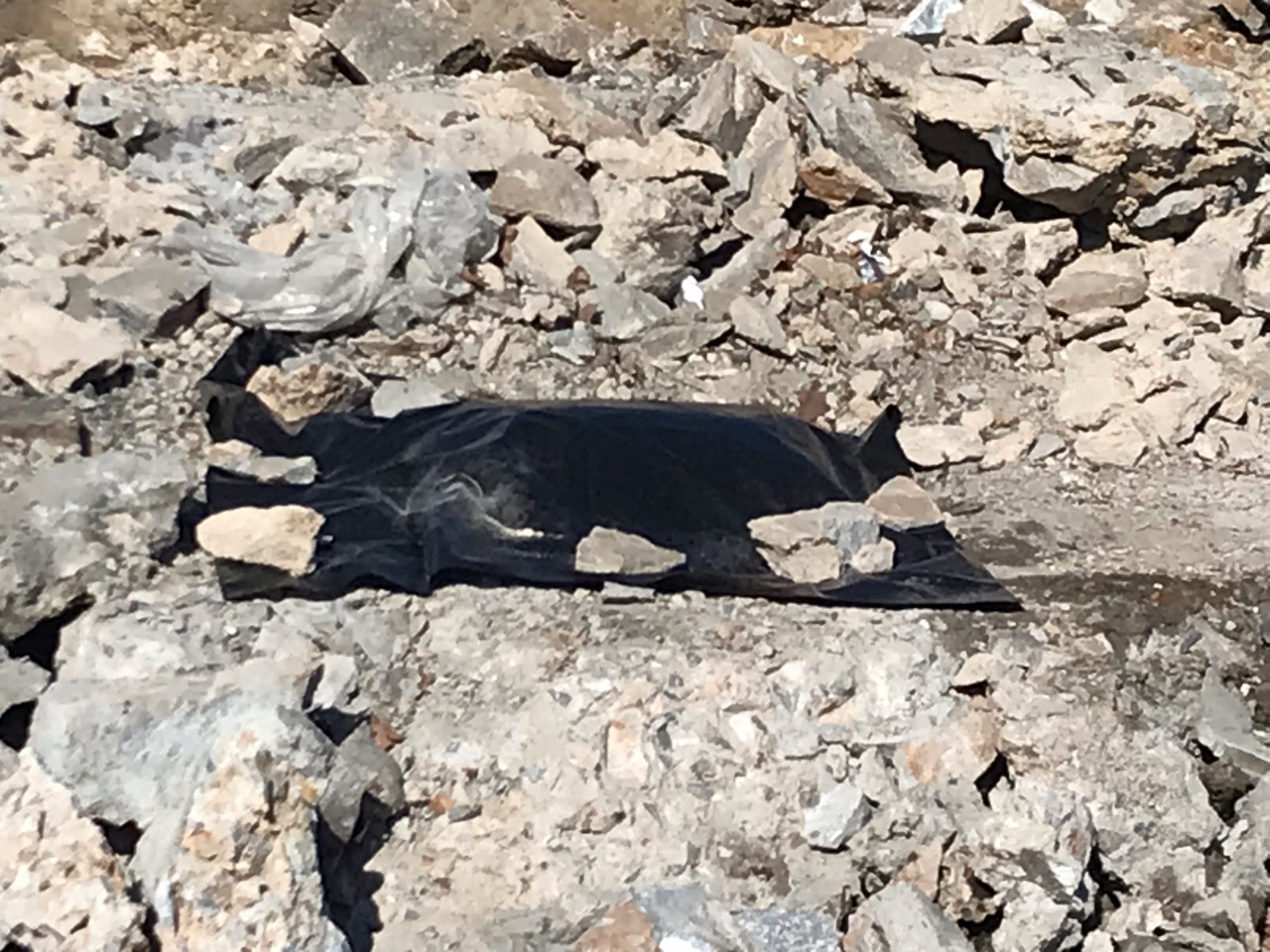 Jefferson Davis Time Capsule 1.jpg