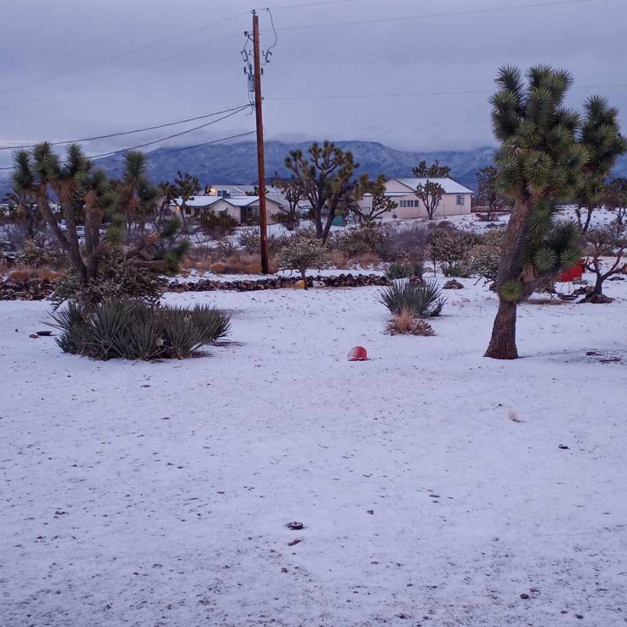 Arizona Snow 2024