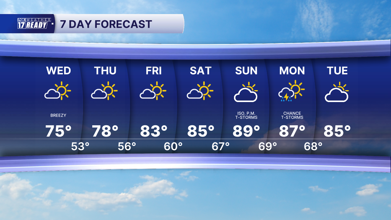7 DAY FORECAST