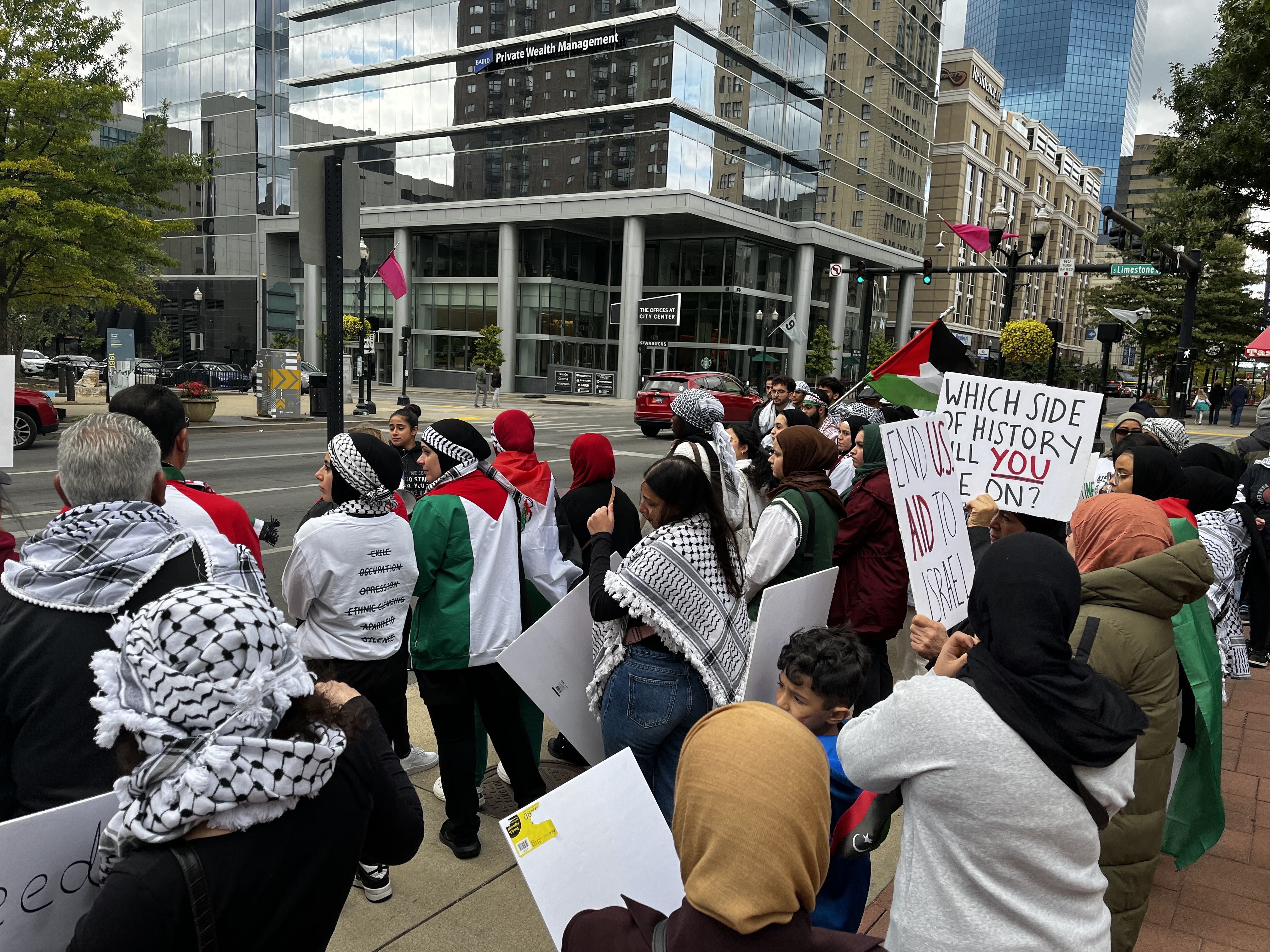 Pro-Palestinian activists rally