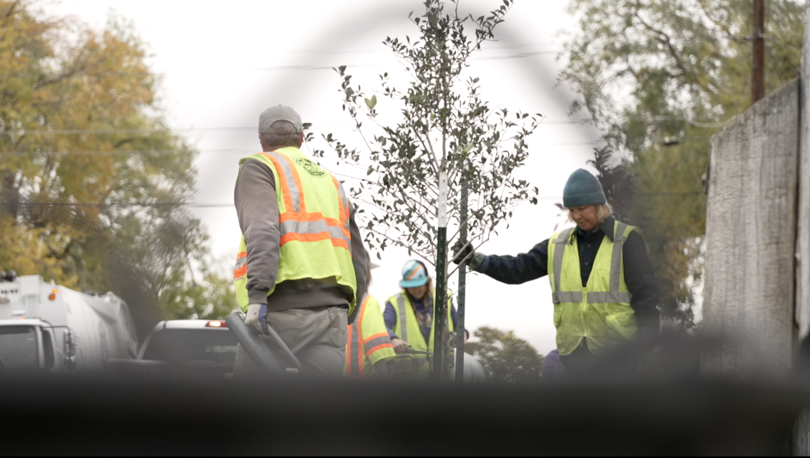Tree Planting Franklin to the Fort