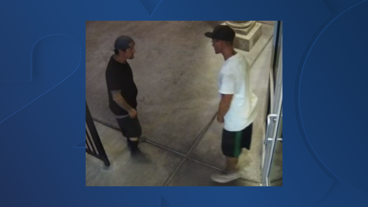 Moo Creamery Burglary Suspects