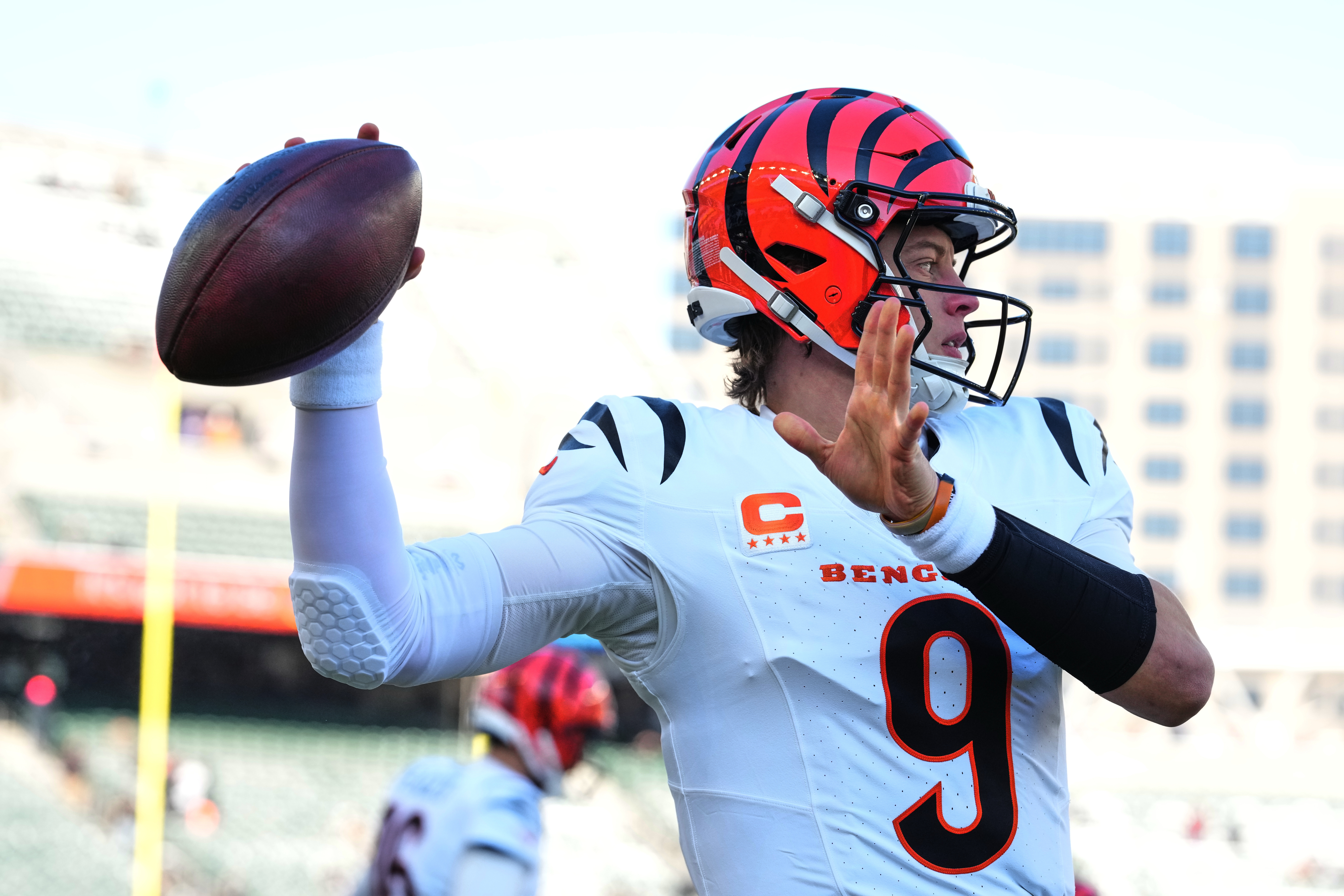 Bengals Ravens