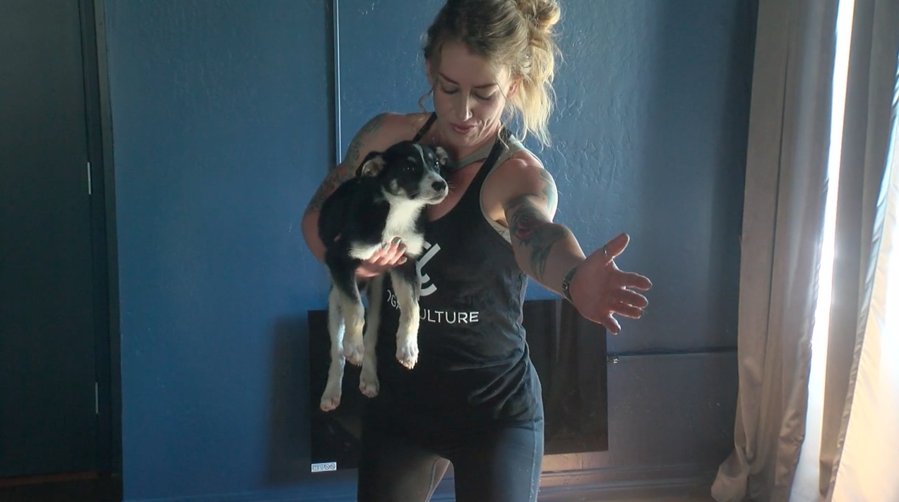 Puppy Yoga at Yoga Culture