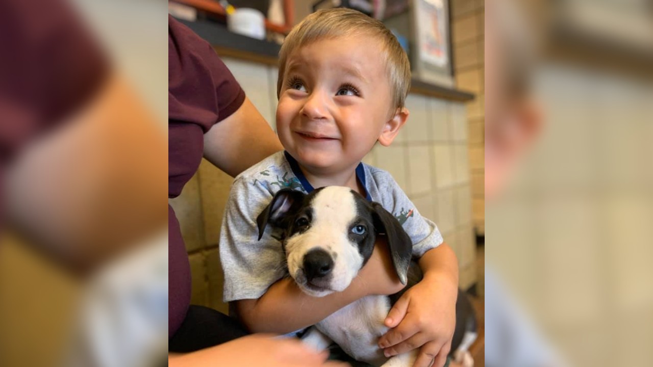 2-year-old boy born with cleft lip adopts puppy born with same condition