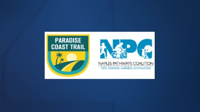 Background only (15).jpg