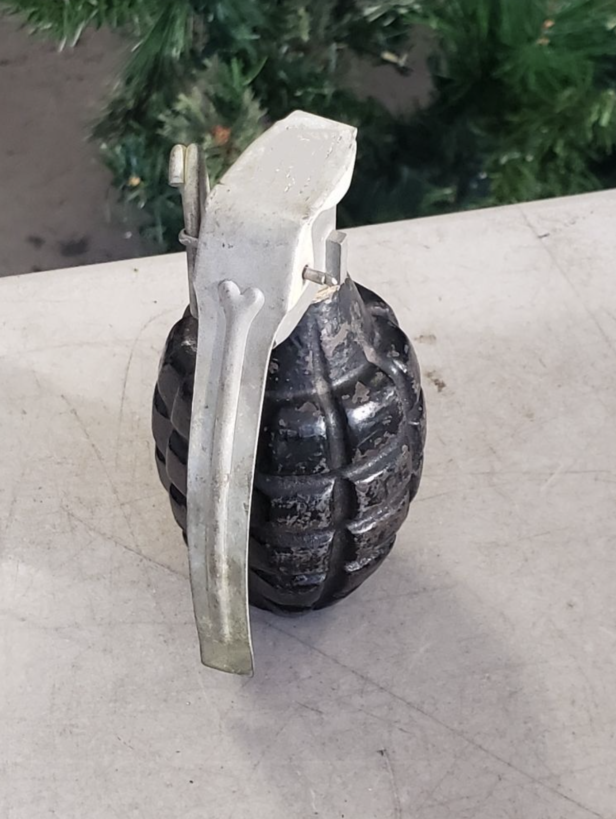 Grenade donated to San Diego charity
