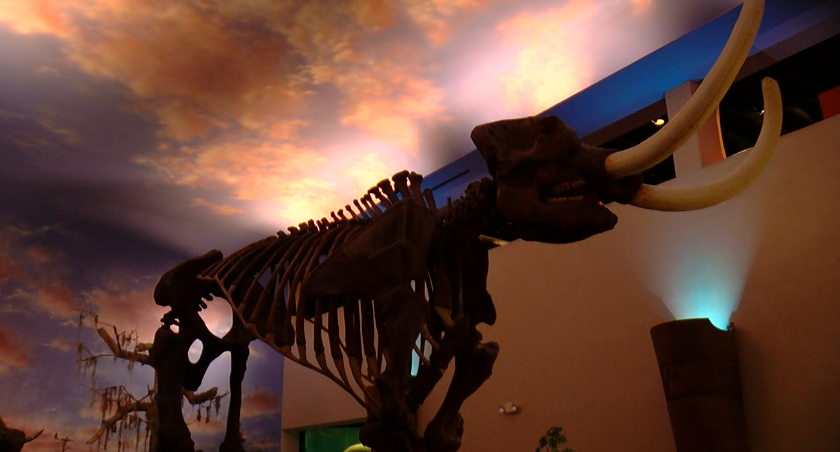 Bishop Museum 