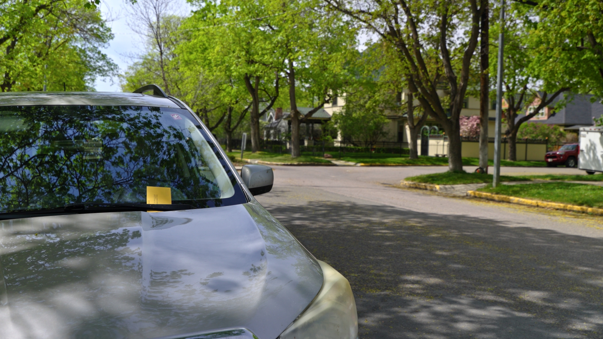Parking Ticket in University District 