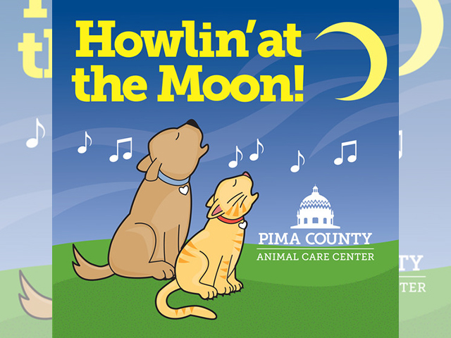 Howling at the moon.jpg