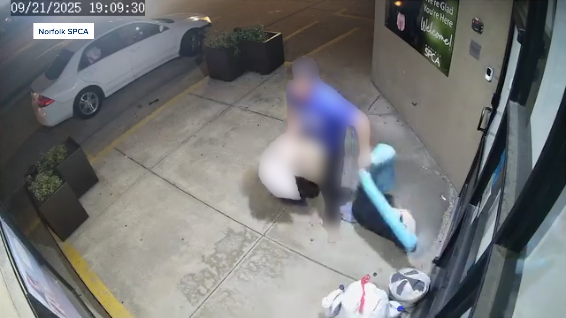 Norfolk SPCA donations stolen.jpg