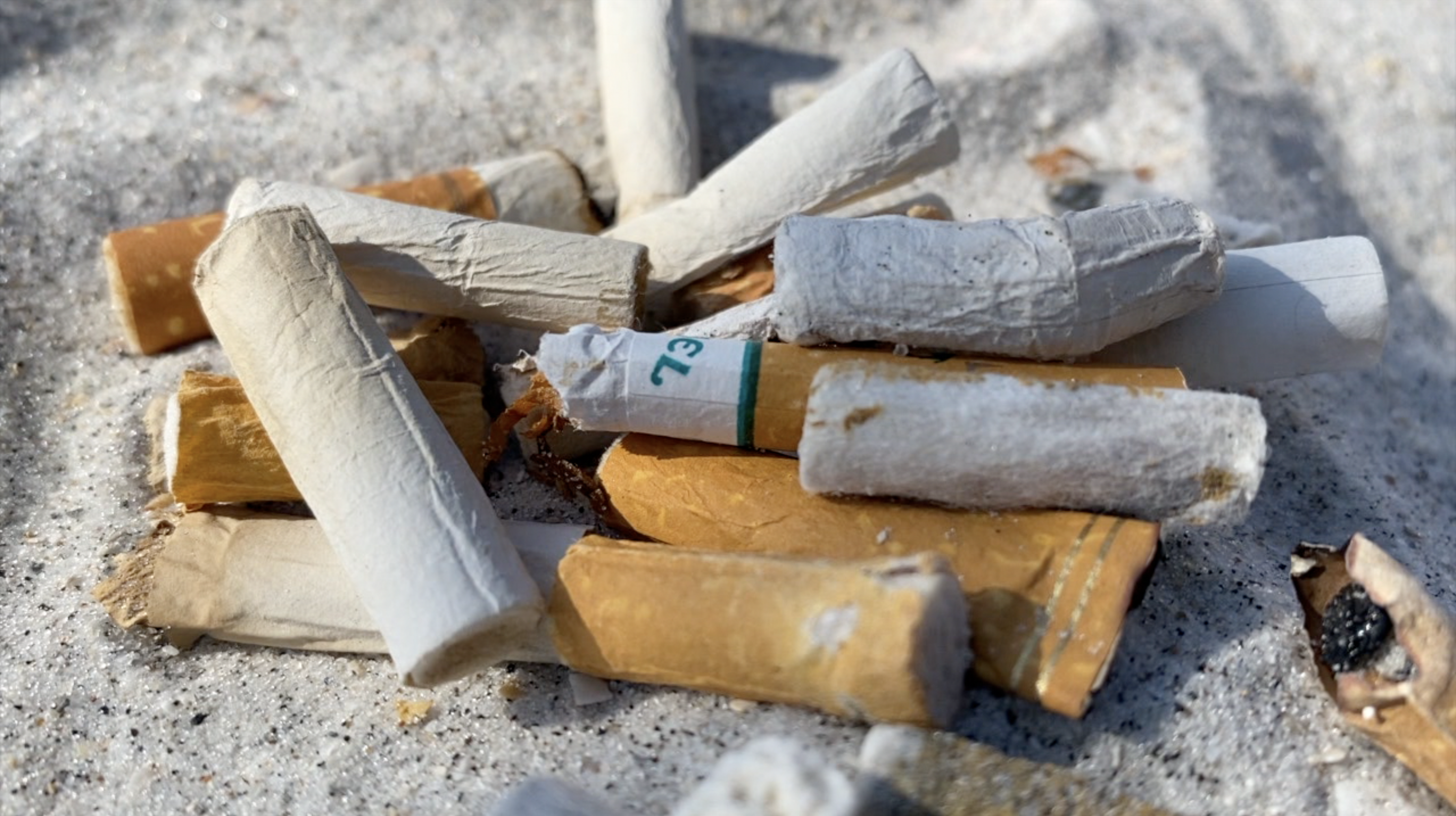 Screen Shot 2022-08-31 at 4.58.44 PM.png