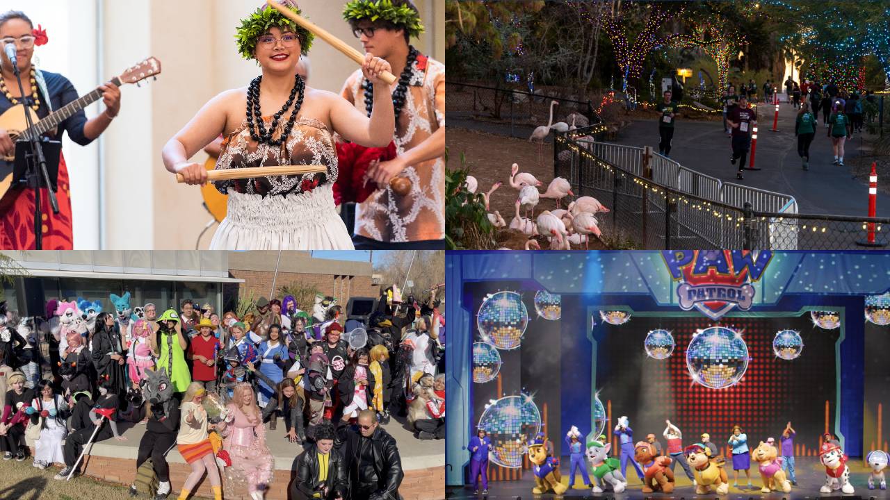 January events: Tempe FanCon, Zoo Move & Groove, Sal Vulcano tour stop, and more in the Valley. 