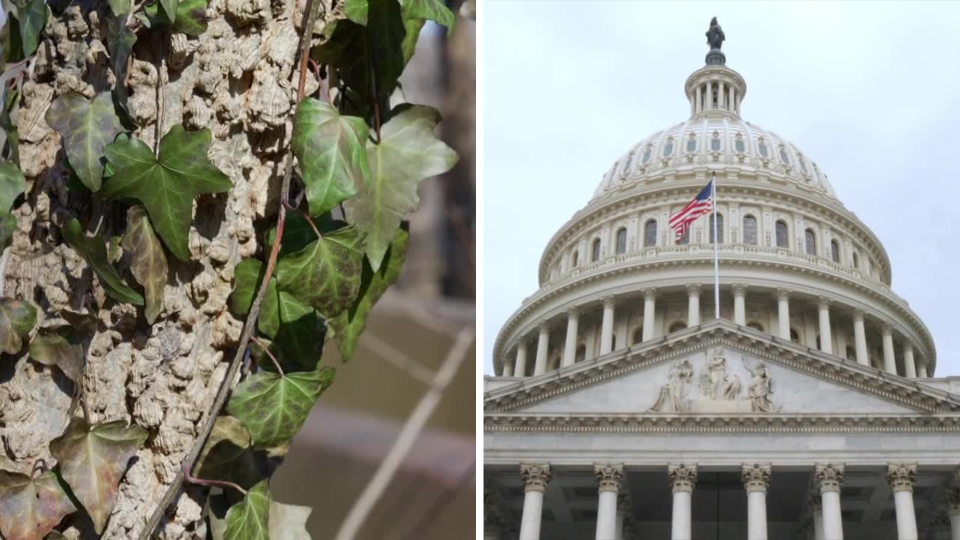 Emily - Article Thumbnails (47).png