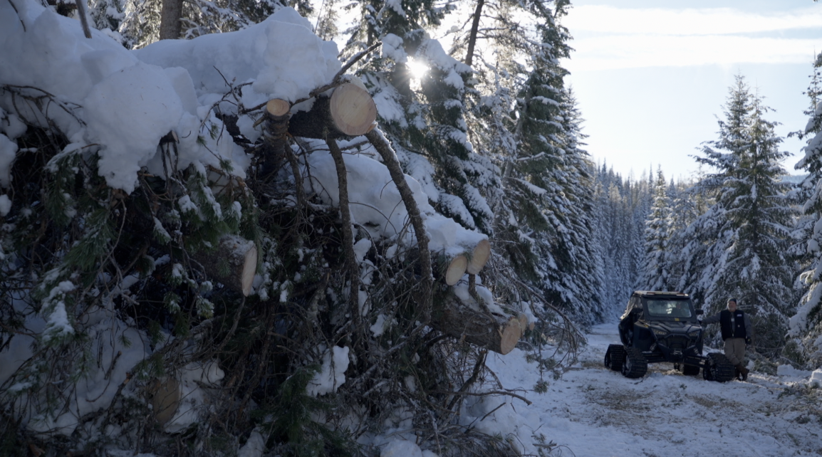 Night Riders Tree Clean Up