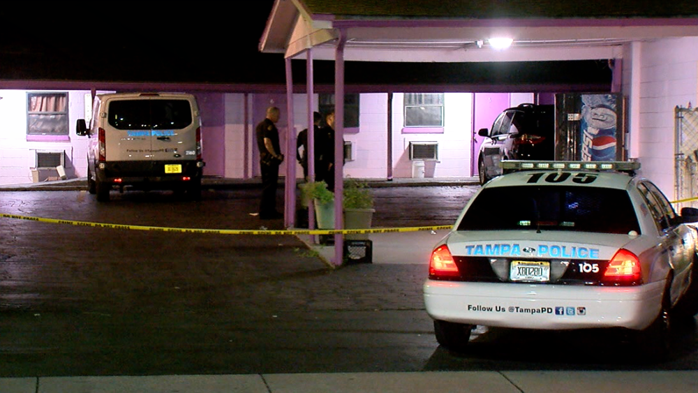 shooting and carjacking in Tampa