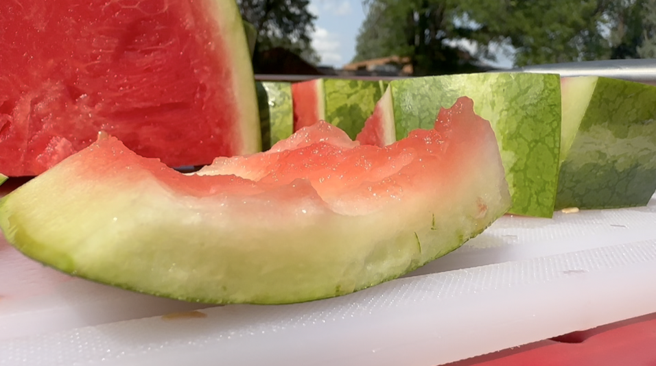 Rocky Ford melons