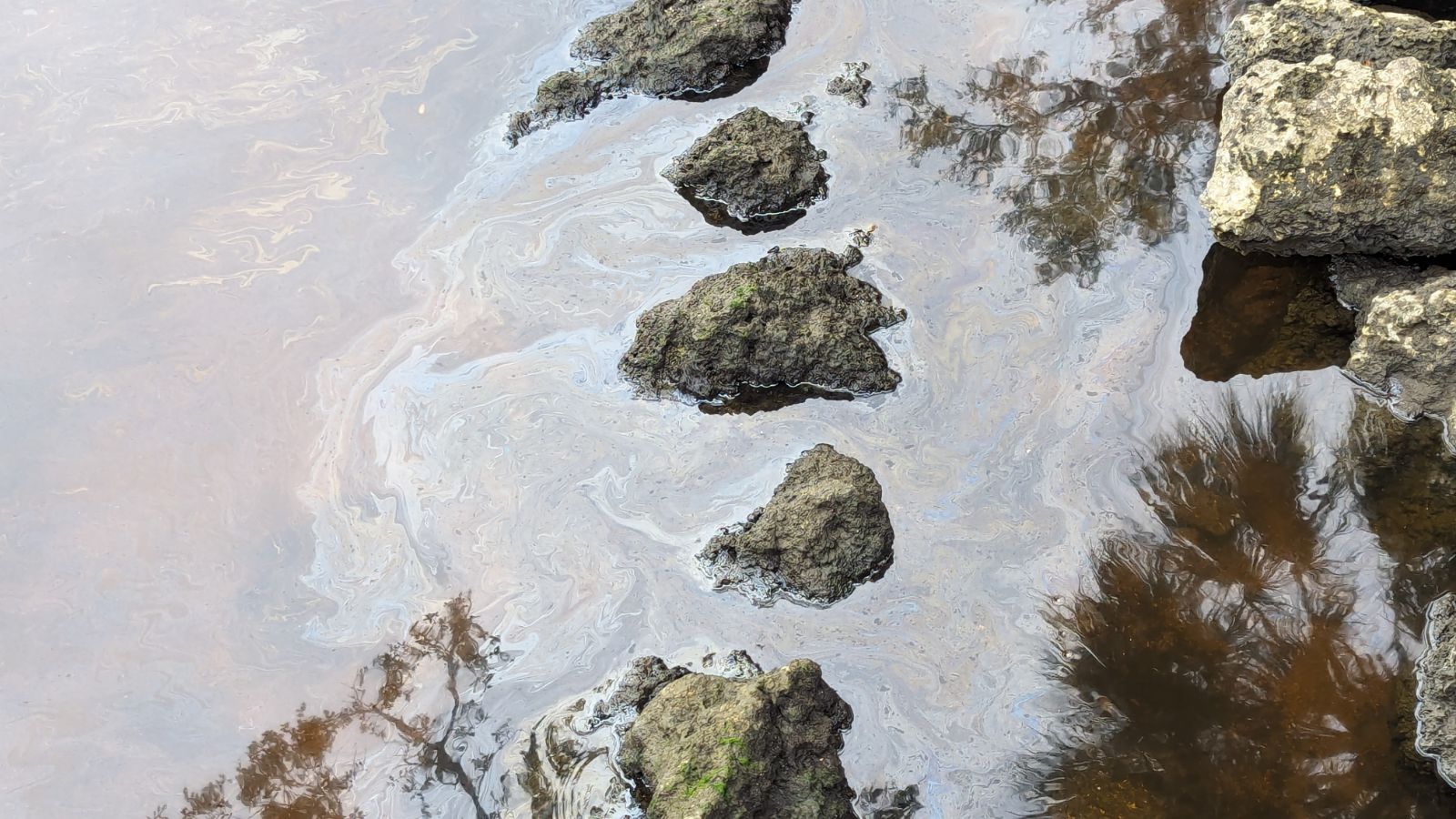Oil spill in Palm City. Dec. 30, 2023
