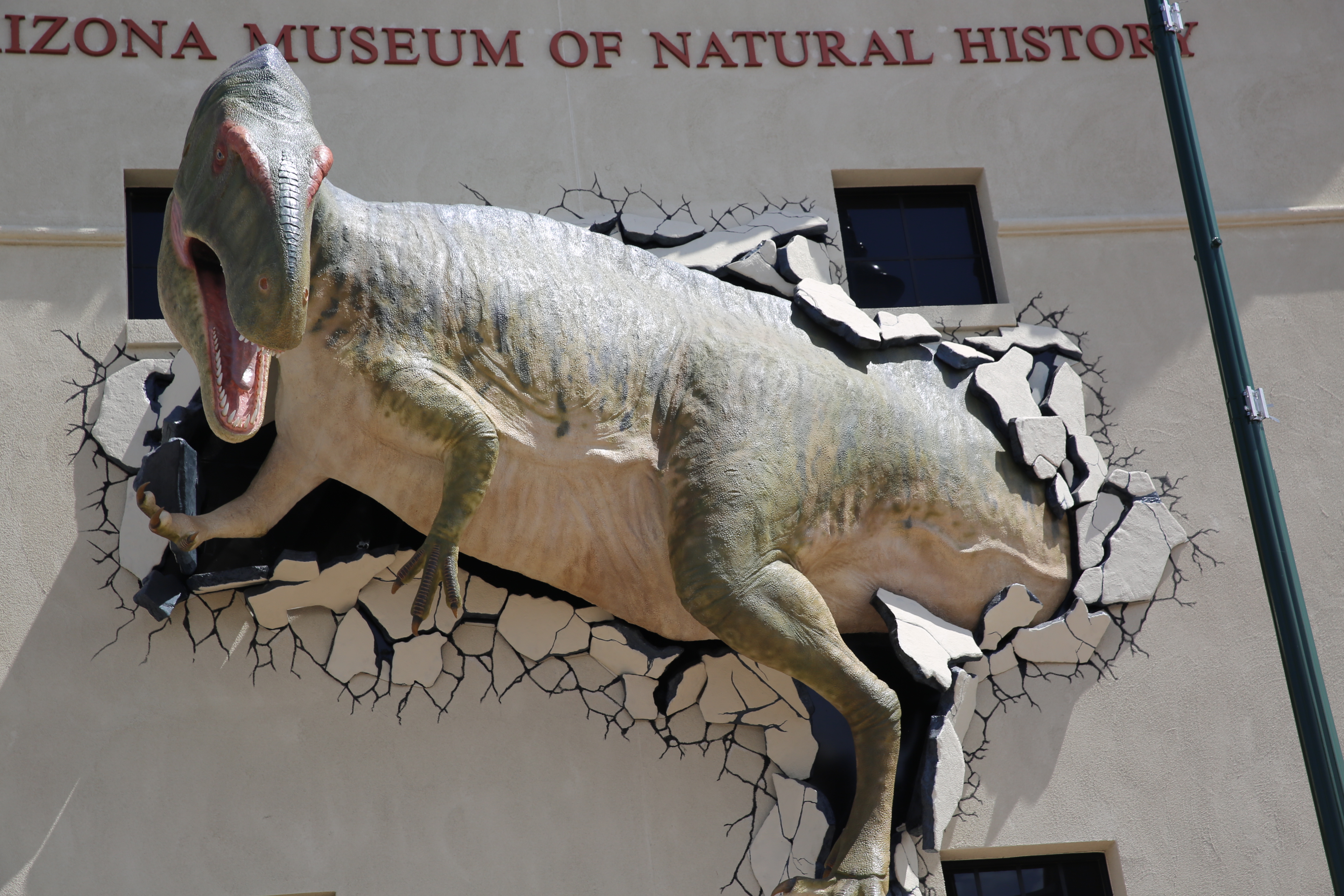 Acrocanthosaurus (1).jpg