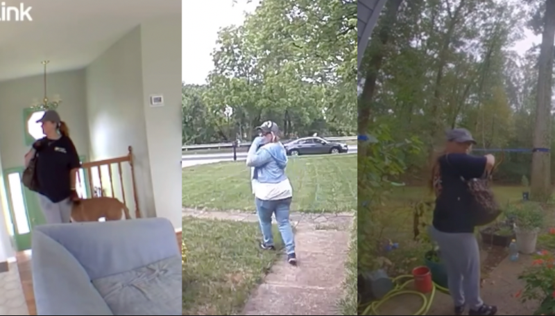 Serial burglar 