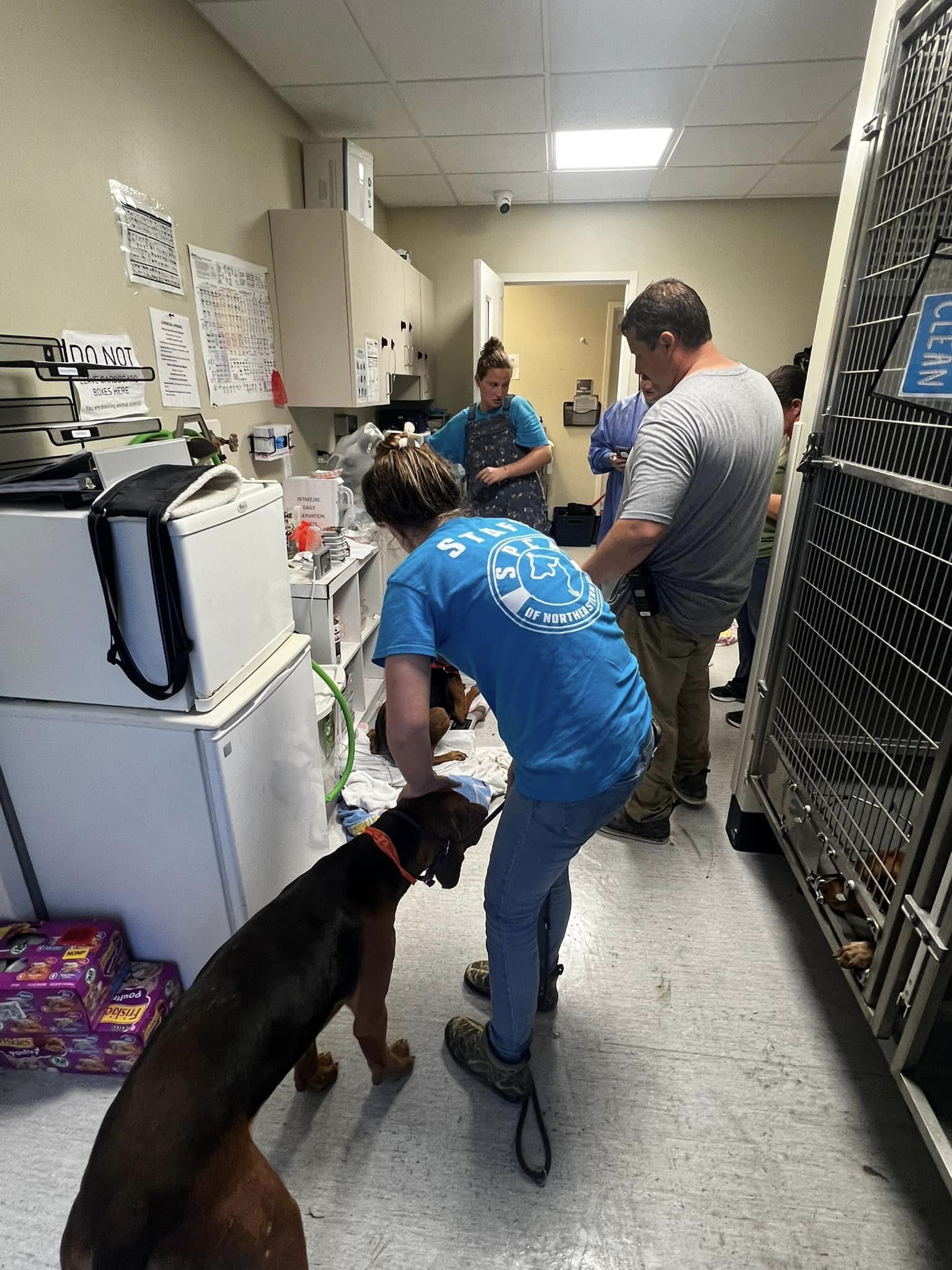 SPCA.jpg