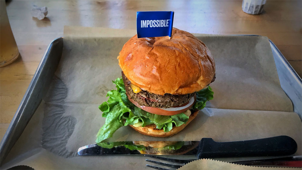 WPTV Impossible Burger