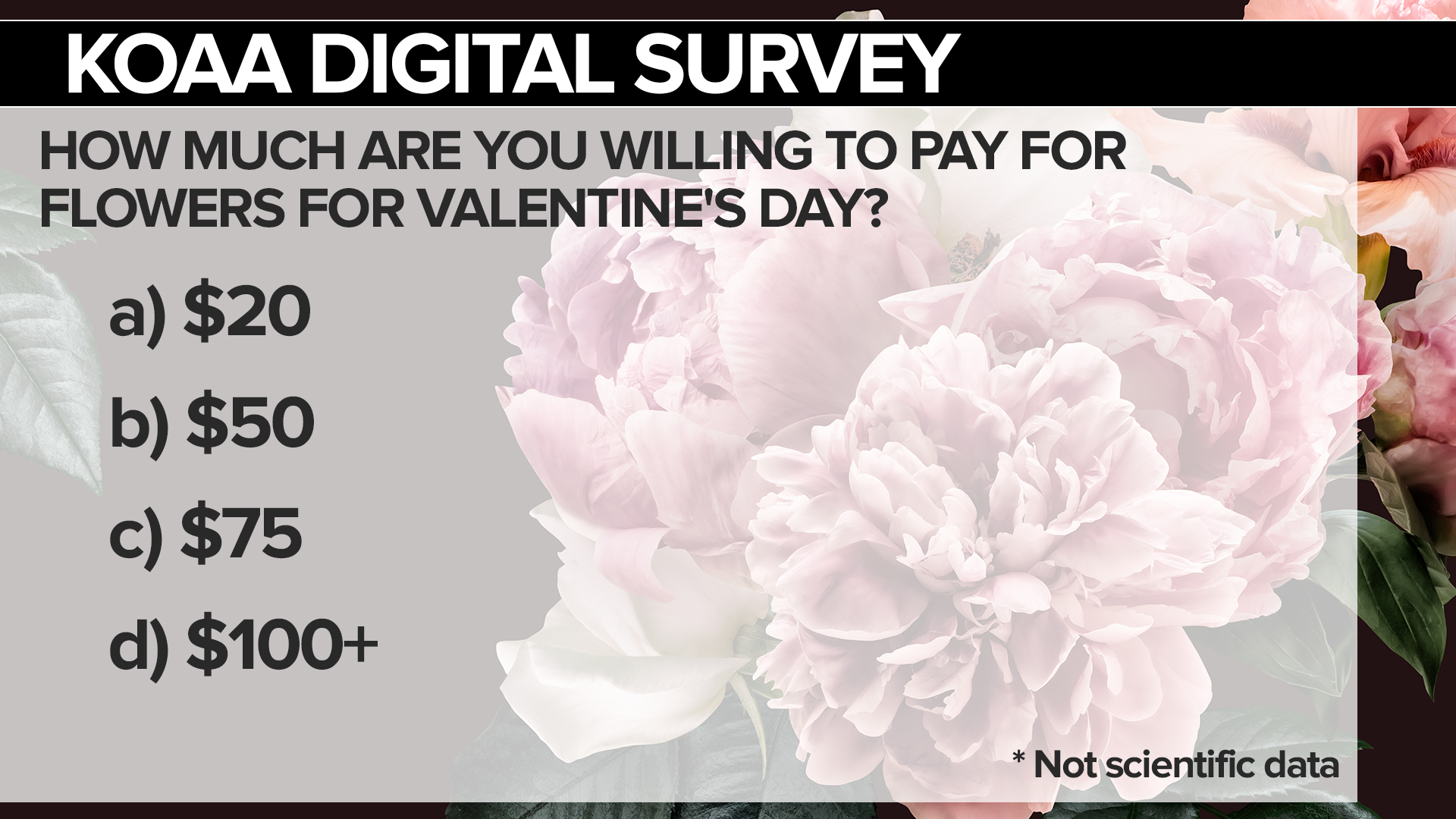 SURVEY Flowers.jpg