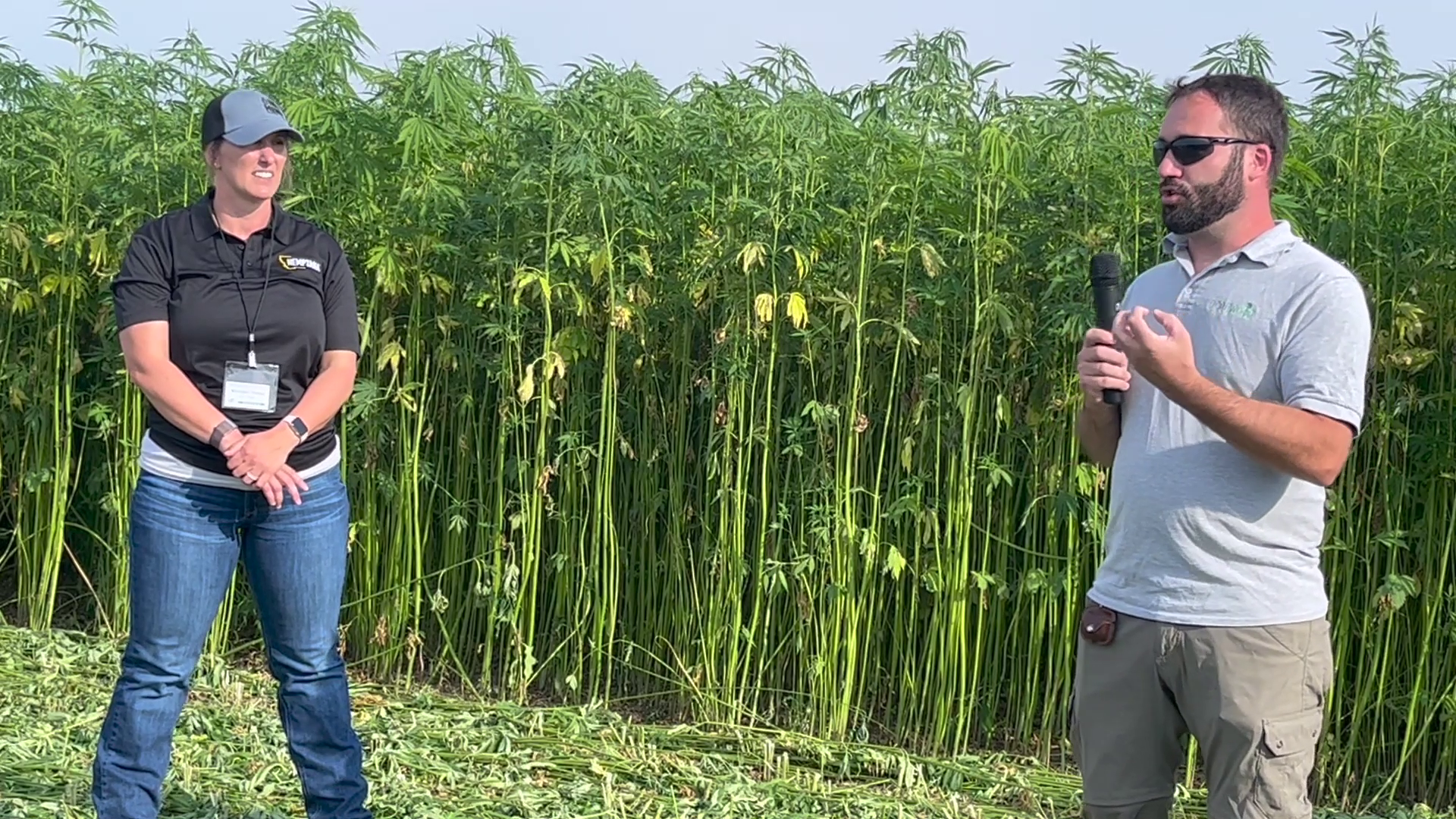 Fiber hemp producers meet in Fort Benton