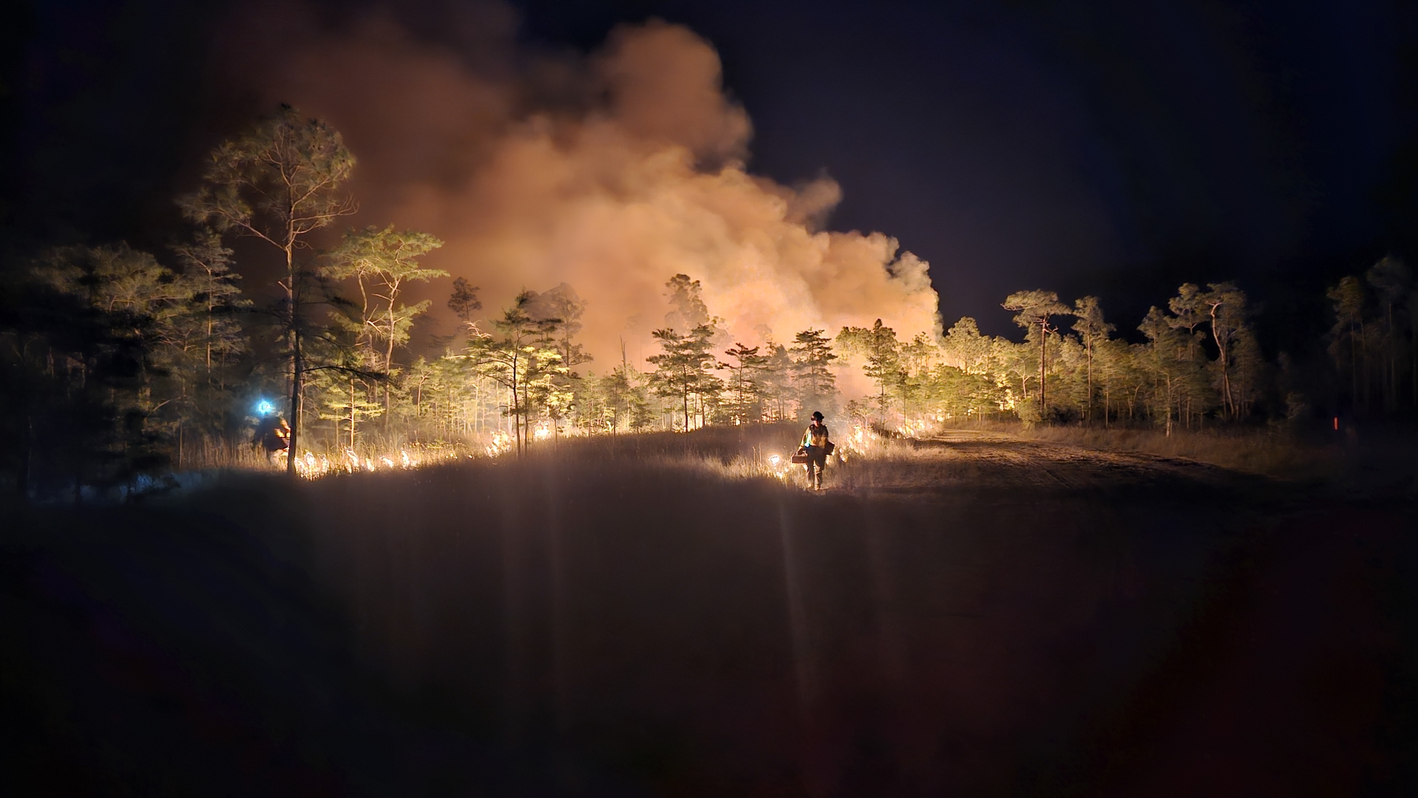 Sandy Wildfire 