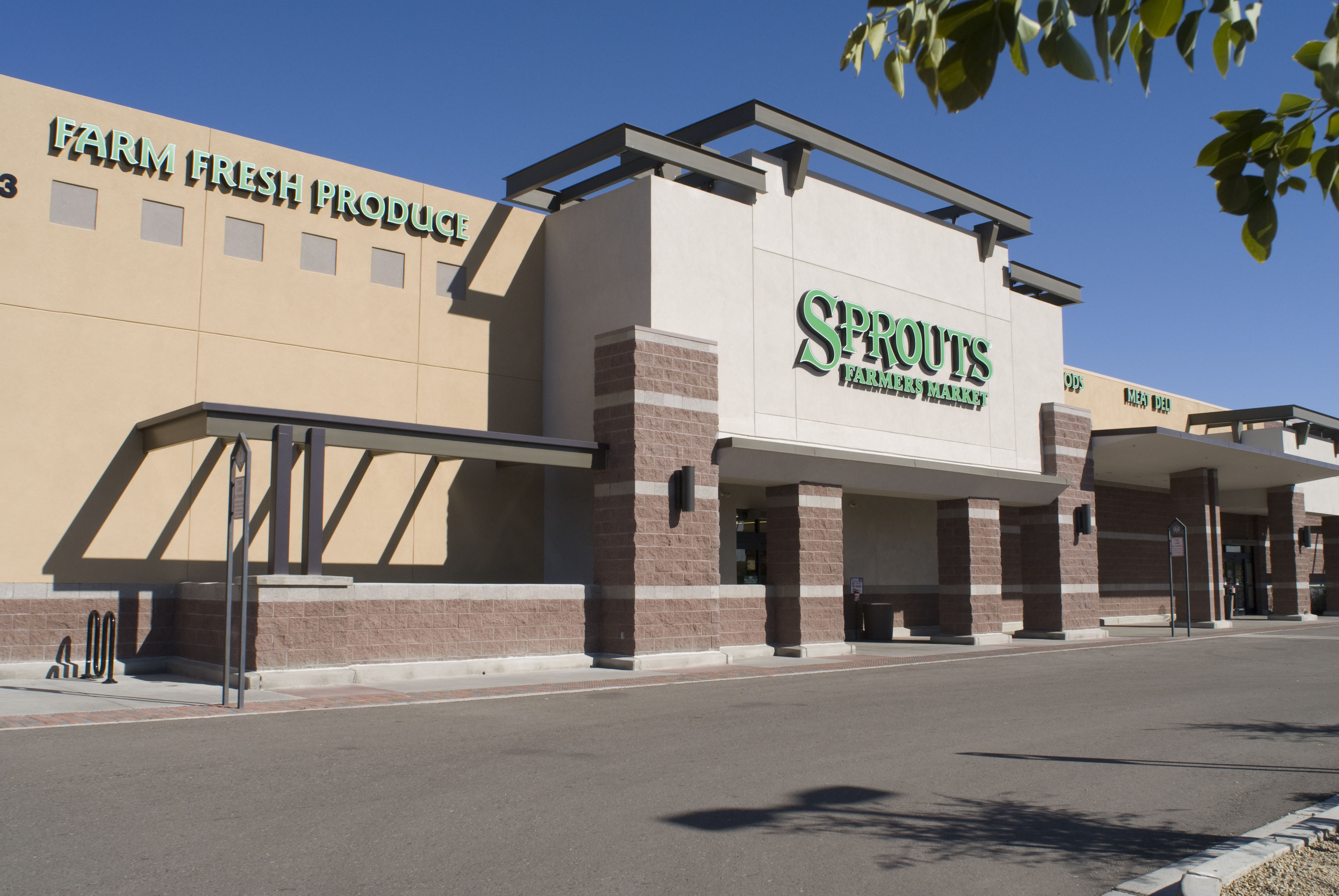 Sprouts.jpg