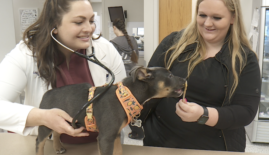 Family Friends Veterinary Hospital
