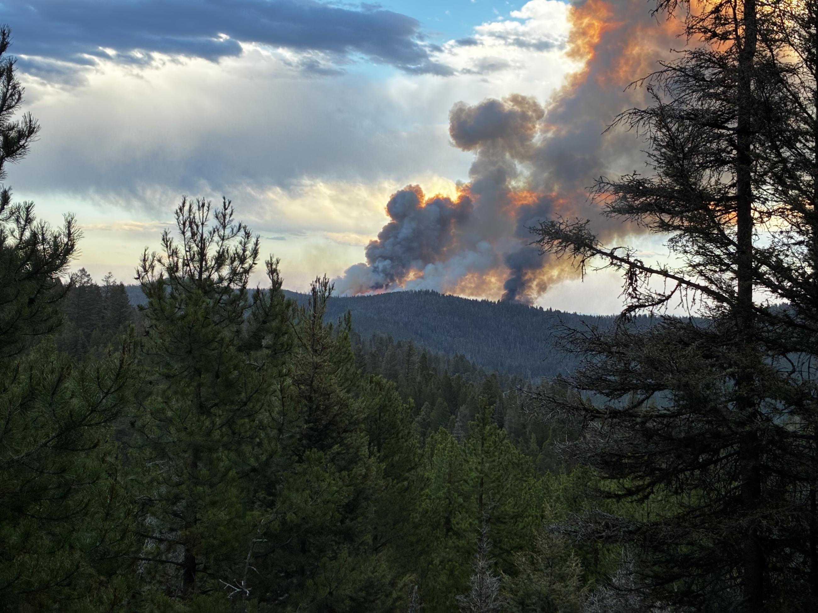 Windy Rock Fire 