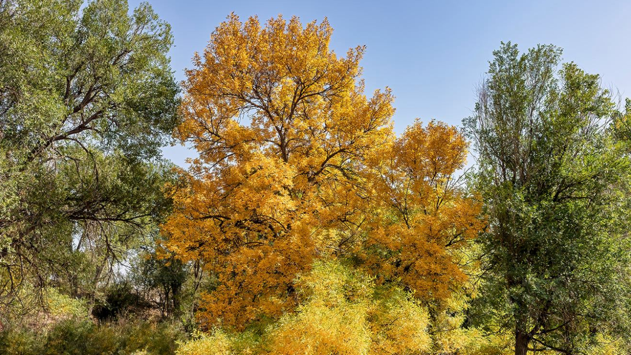Fountain Creek Nature Center Larry Marr.jpg