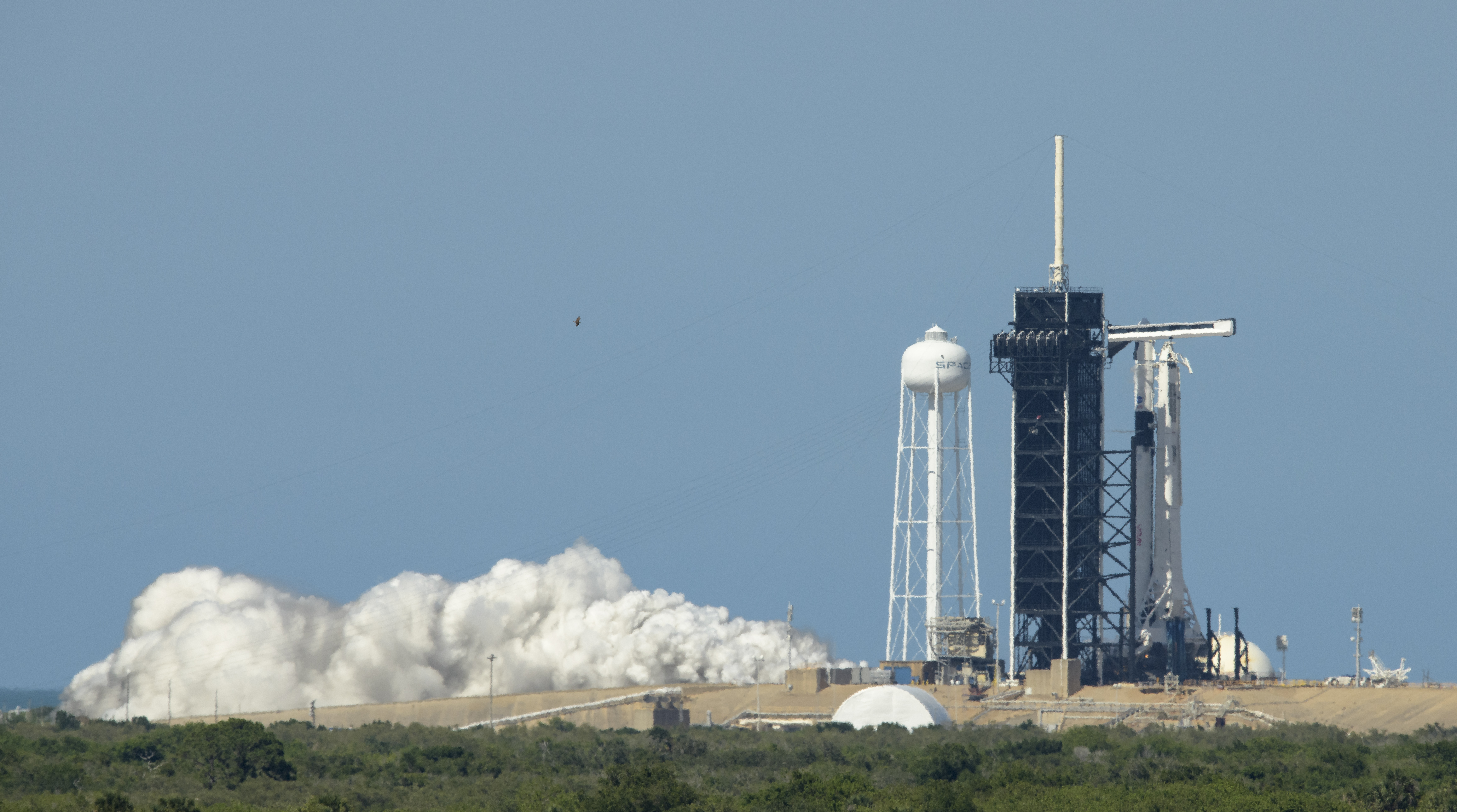 SpaceX Demo-2 Static Fire