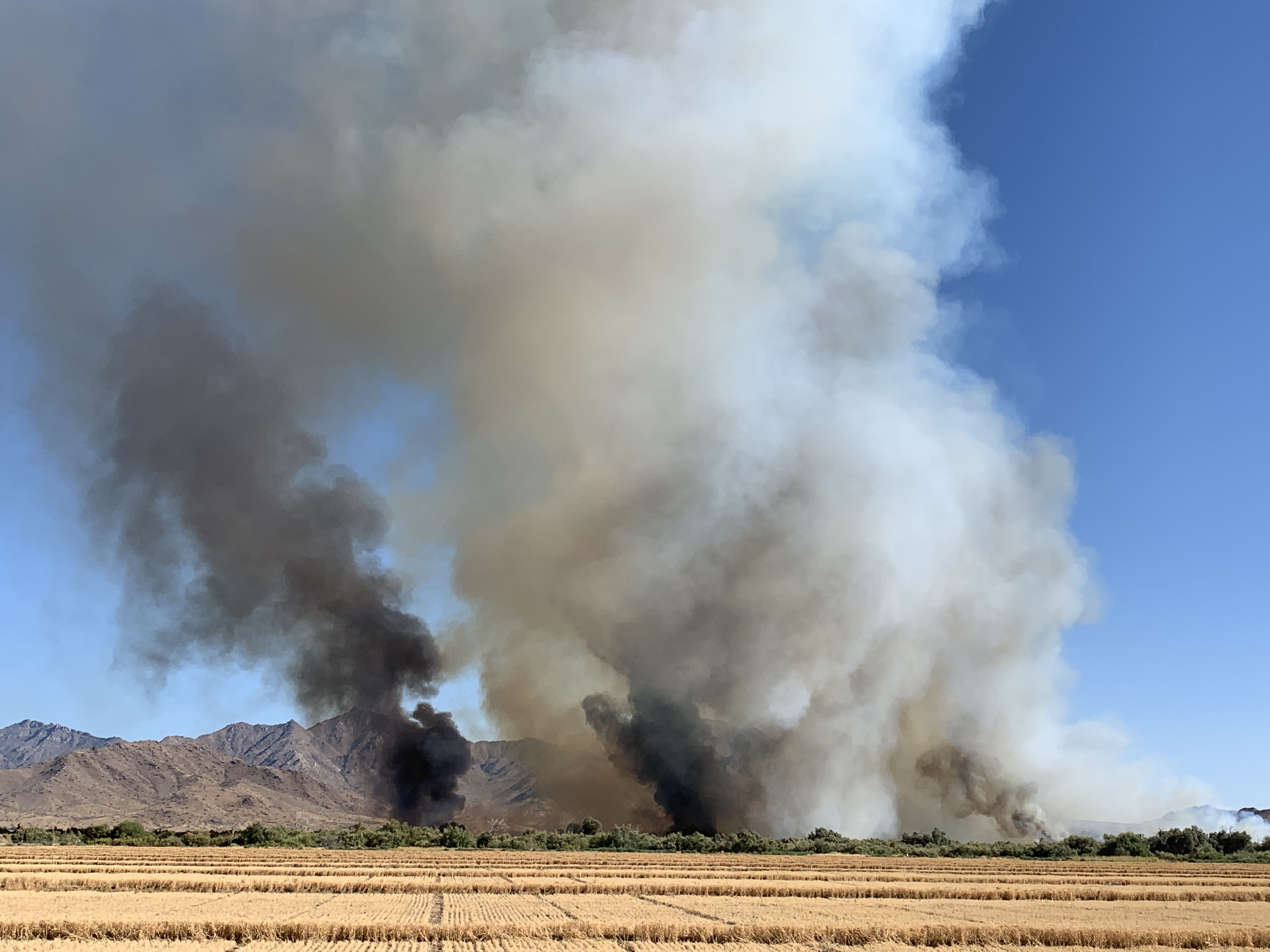 KNXV Avondale Gila River Bottom Brush Fire 7-4-19