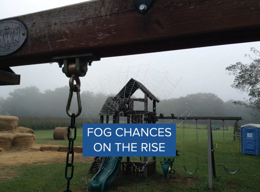 Thursday evening thumbnail