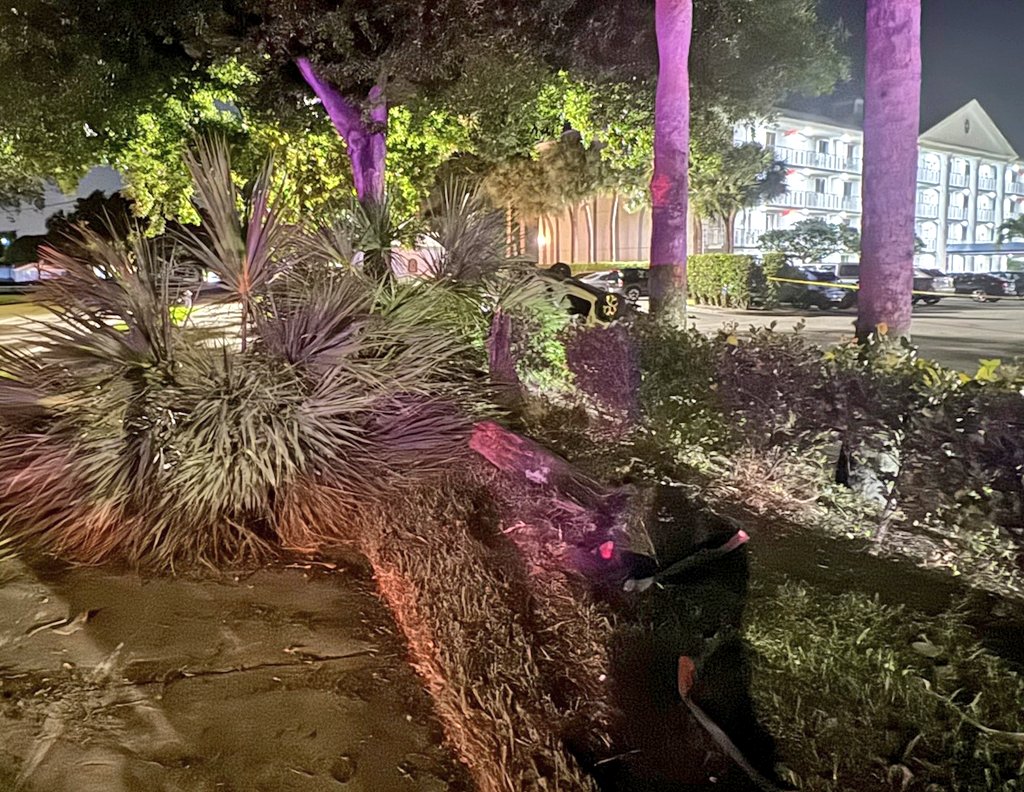 Car crash in West Palm Beach.jpeg