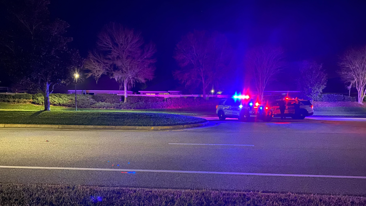 New Tampa homicide.png