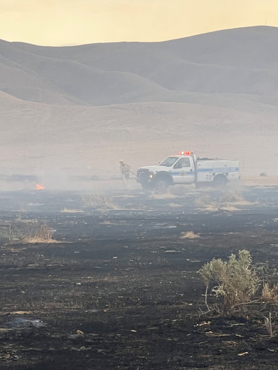 Pentland Rd field fire in Maricopa