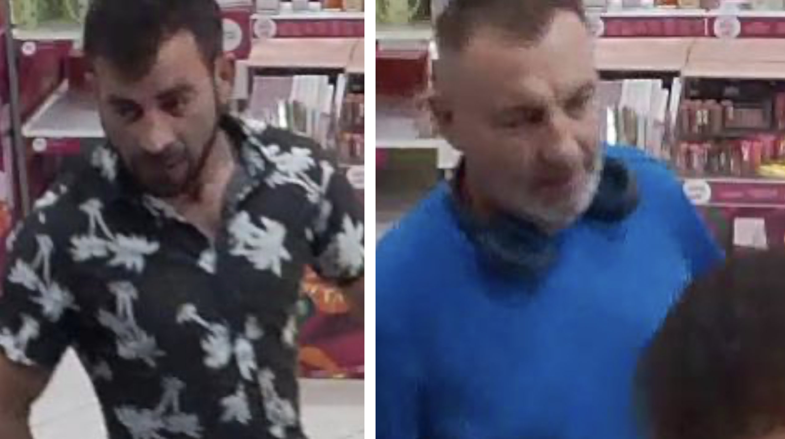 Cape Coral Theft Suspects