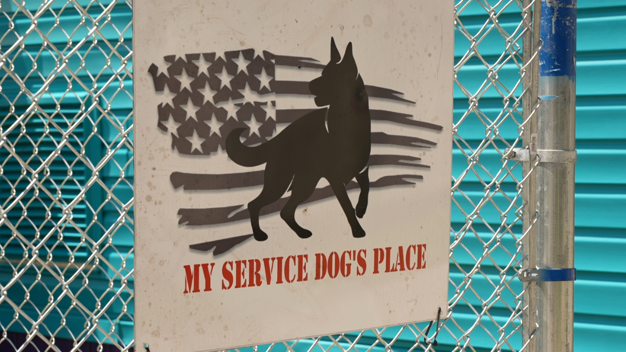 my service dogs place.png