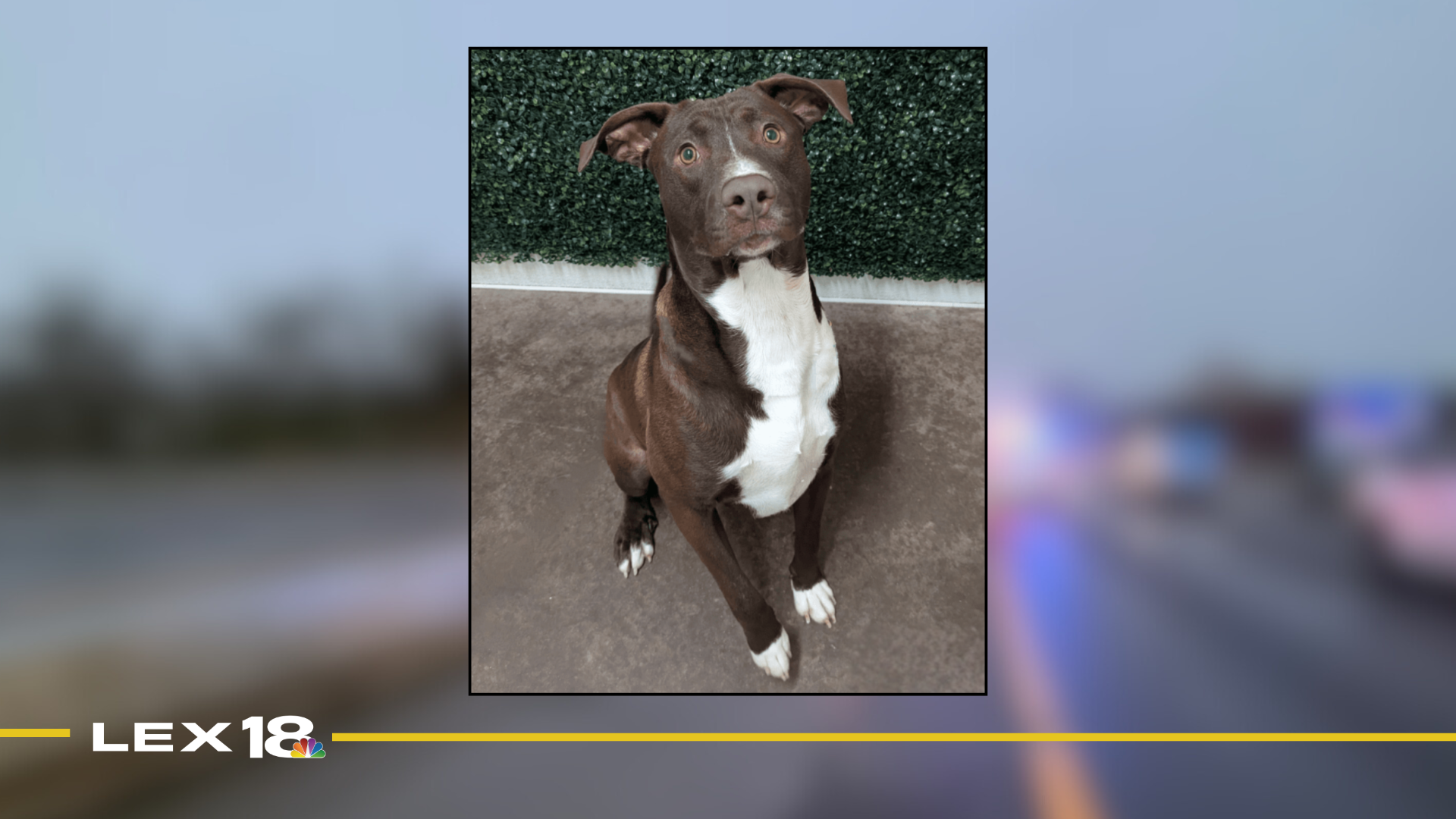 Featured Image Custom Edit (17).png