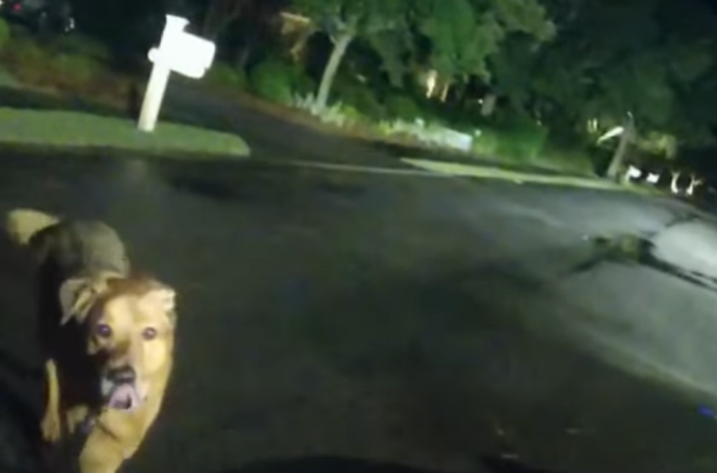 Screenshot 2025-10-07 092709.png